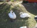 Friguia Park